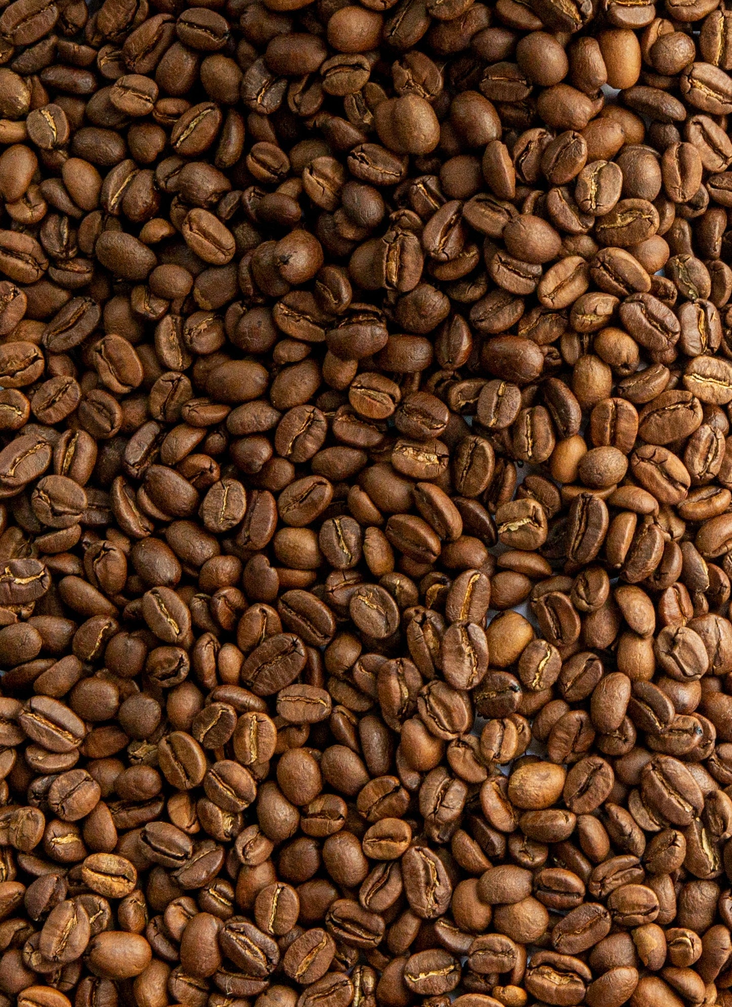 WHISKEY BARREL AGED | SAKLESHPUR | ARABICA | FILTER ROAST | 250 GMS