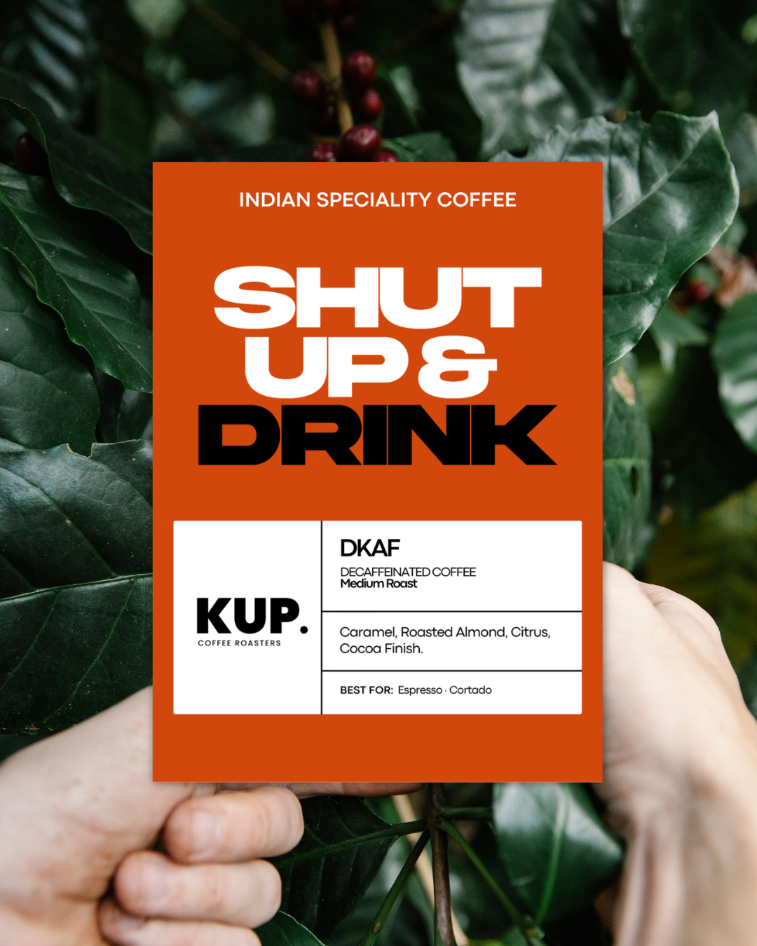 Dkaf Medium Roasted Beans 250 Grams | 100% Arabica Single-Origin