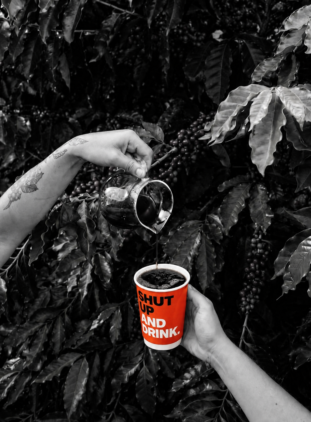 Ratnagiri Estate | Chikmagalur | 100% Arabica | Omni Roast | 250g