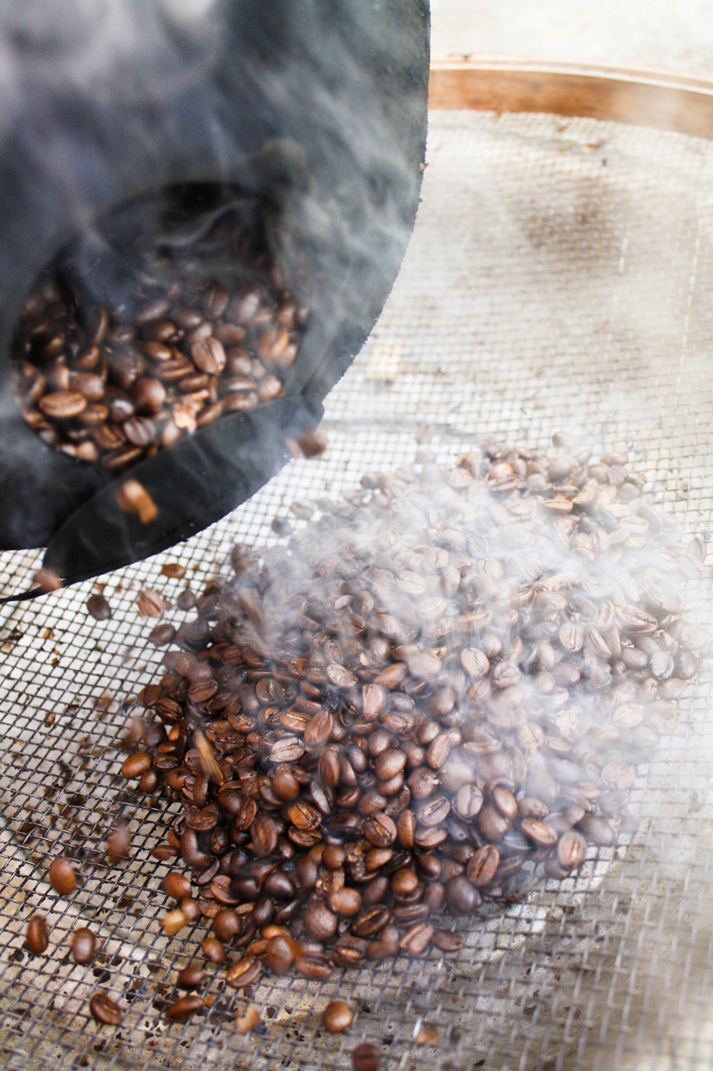 LA PASTORA | TARRAZU | ARABICA | OMNI ROAST | 250GMS