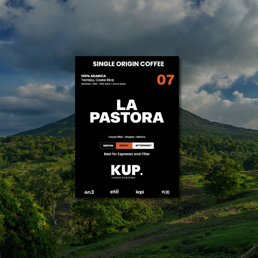 LA PASTORA | TARRAZU | ARABICA | OMNI ROAST | 250GMS