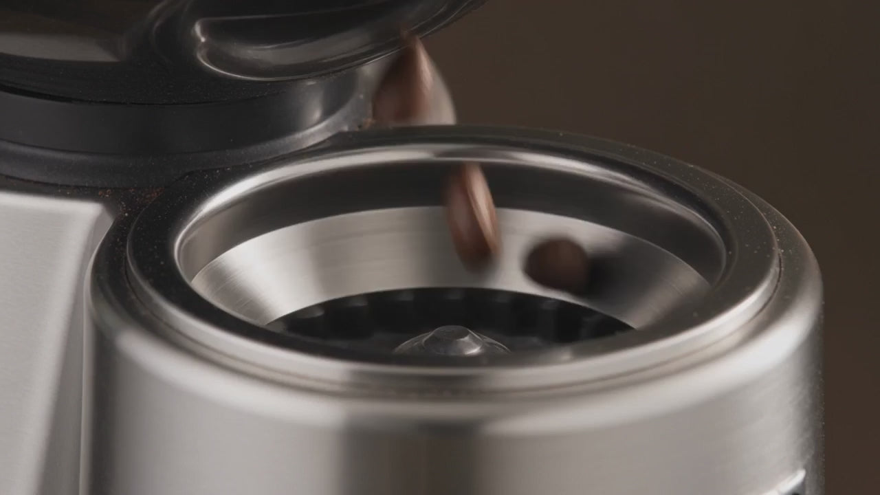 Brewed your way